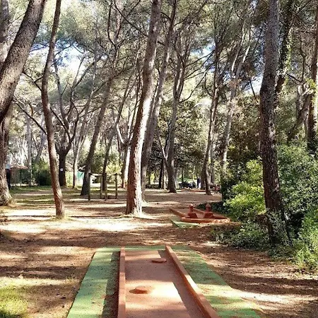Six-fours-les-plages, 2 Pièces, 5 Personnes - Fr-1-316-287