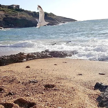 Six-fours-les-plages, 2 Pièces, 5 Personnes - Fr-1-316-287 Six-Fours-les-Plages